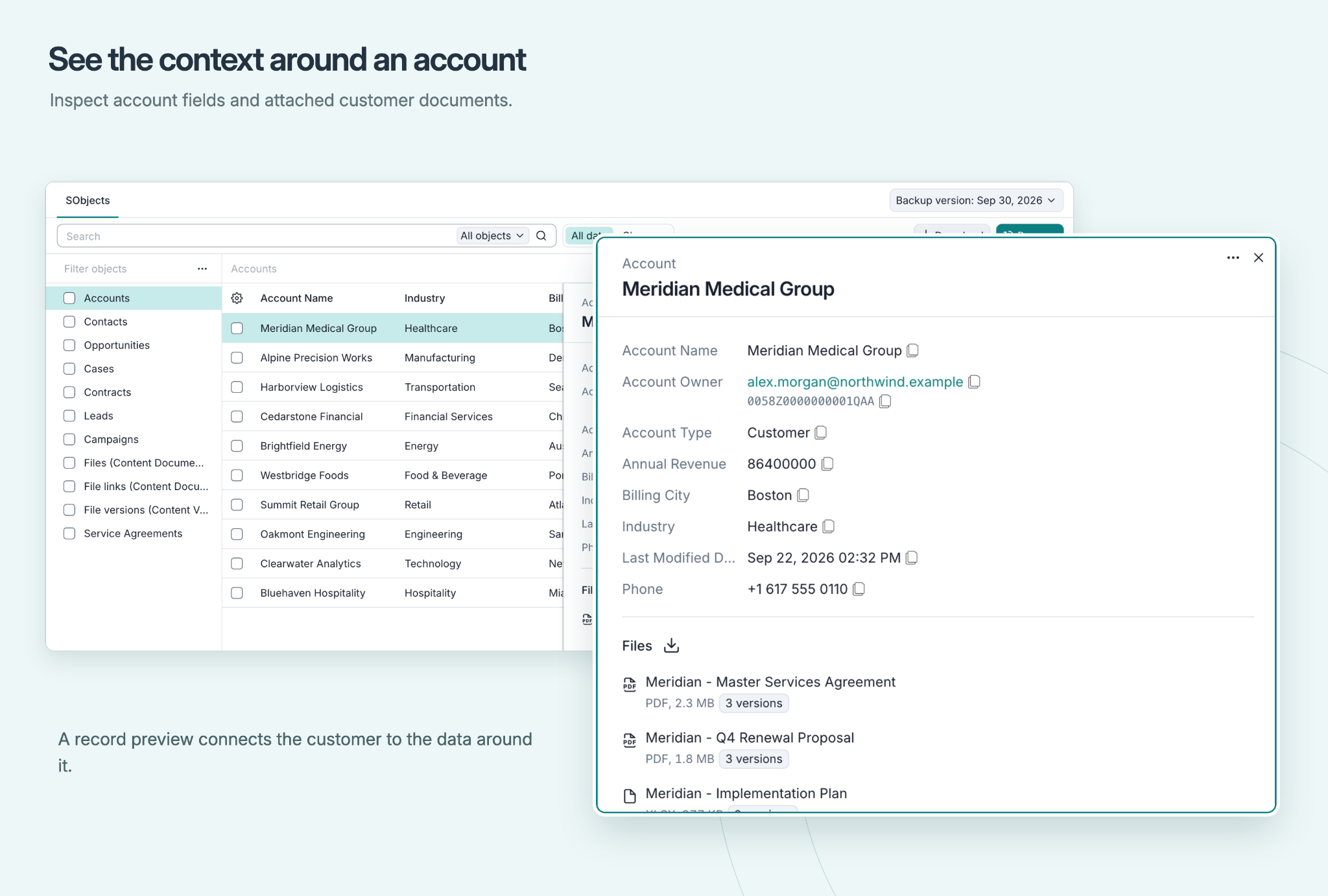 Account preview showing backed-up fields and related customer documents.